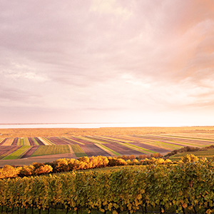 300x300px_LR_Oesterreich