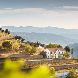 300x300px_LR_Portugal