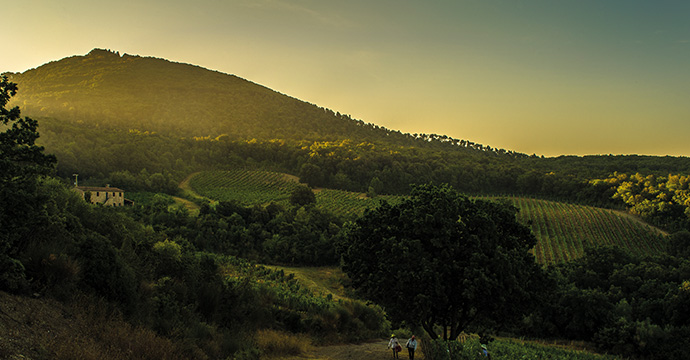690x360px_Laender-Regionen