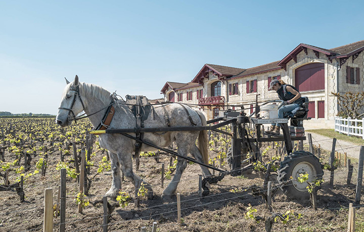 Pontet_Canet