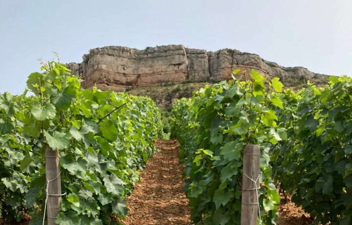 Unbenannt_3_