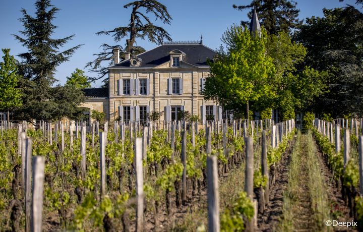 Chateau_Copyright_