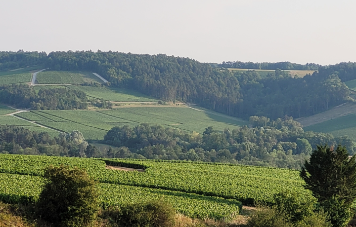 Unbenannt_4_