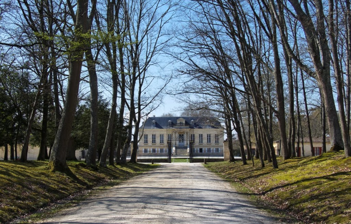 Unbenannt_7_