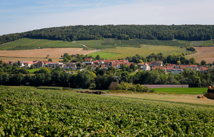 Unbenannt_5_